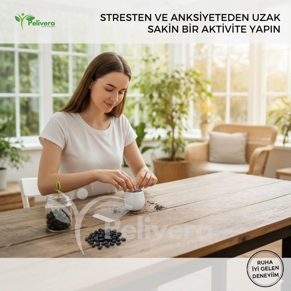Pelivera® Lotus Çiçeği Tohumu - 5'Lİ PAKET